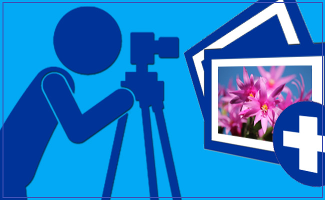 Hvor finder jeg gode fotos til min hjemmeside ?
